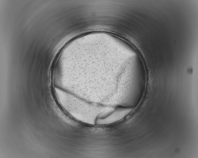 X0000113201082200910011250