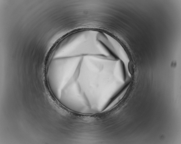 X0000113201085200910011250