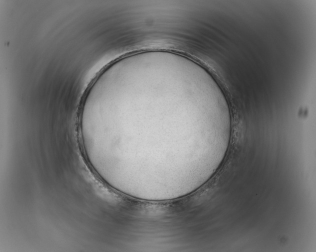 X0000113201086200910011250