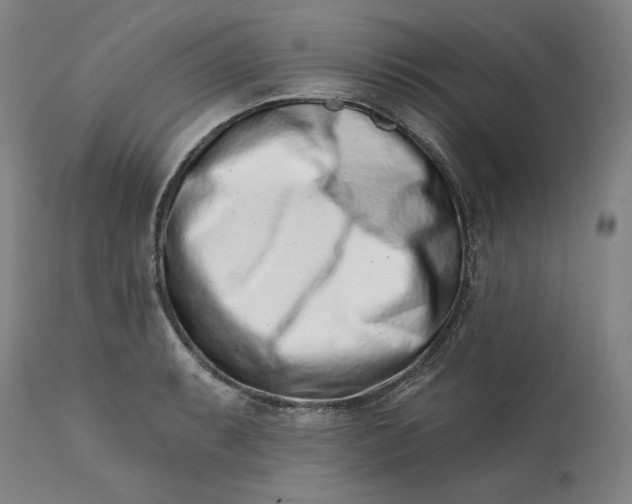 X0000113201087200910011250