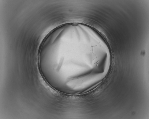 X0000113201088200910011250