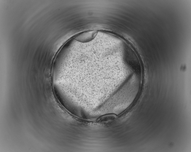 X0000113201089200910011250