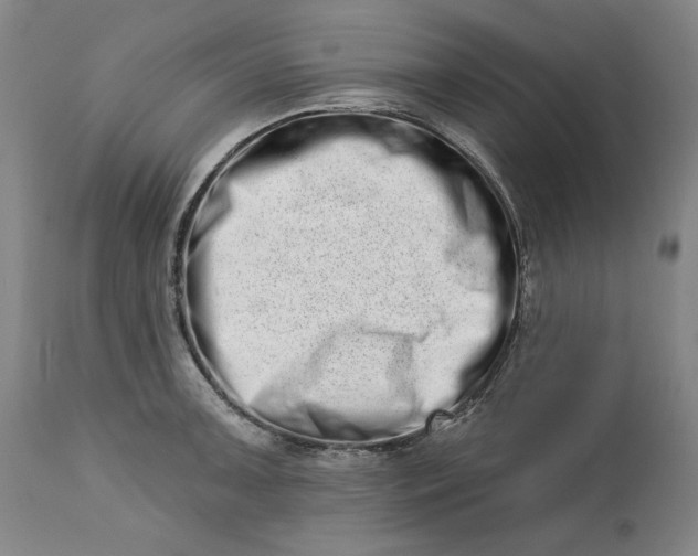 X0000113201091200910011250