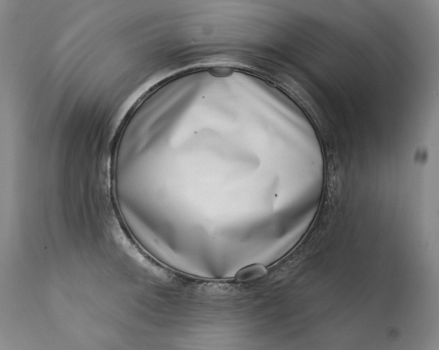 X0000113201092200910011250