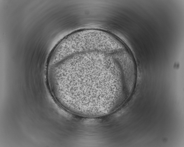 X0000113201093200910011250