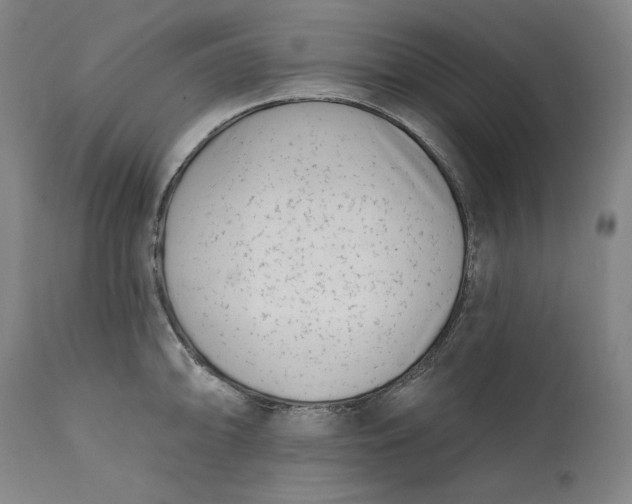 X0000113201094200910011250