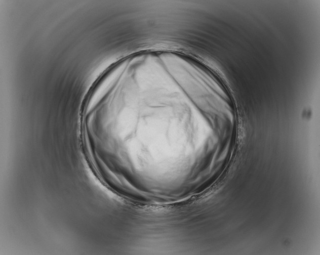 X0000113201095200910011250