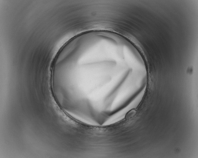 X0000113201096200910011250