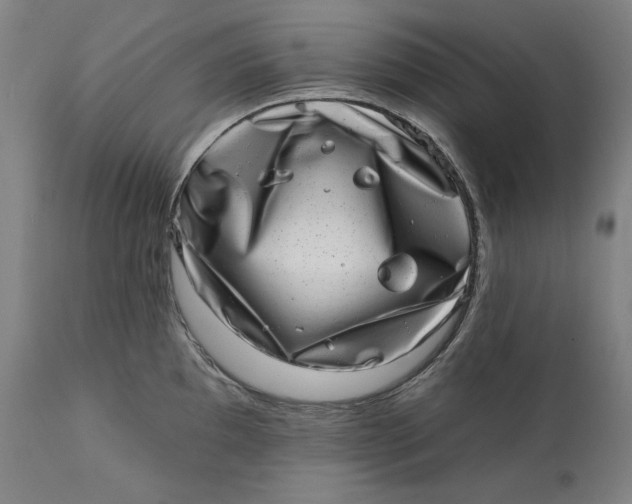 X0000113201097200910011250