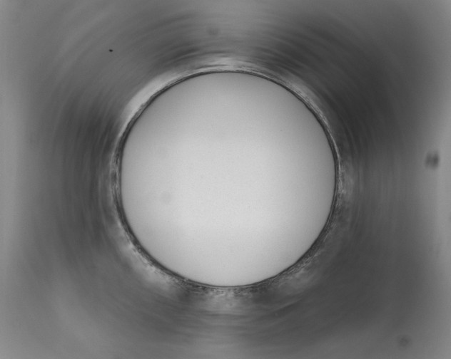 X0000113201098200910011250