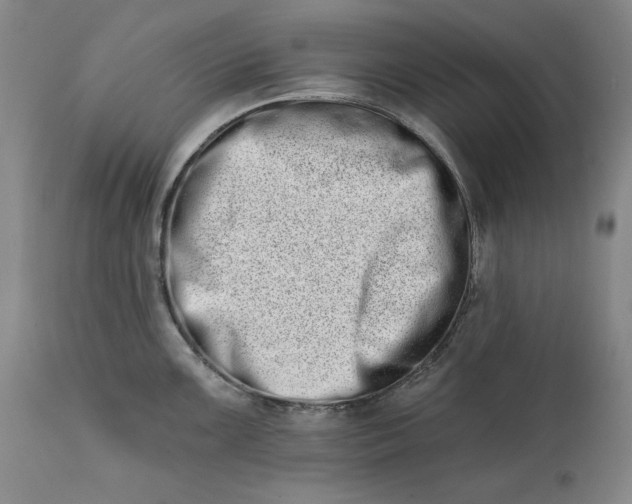 X0000113201099200910011250