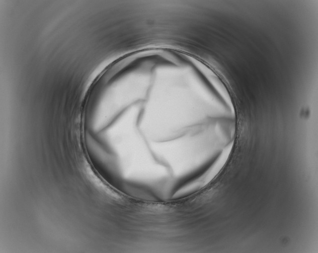 X0000113201100200910011250