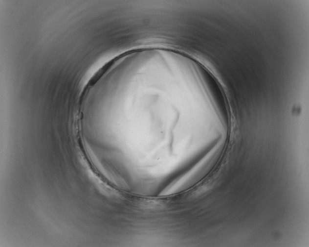 X0000113201101200910011250