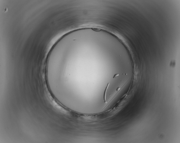 X0000113201102200910011250