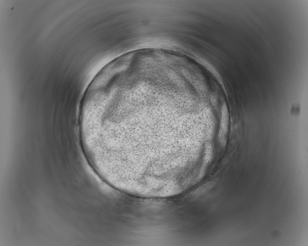 X0000113201103200910011250