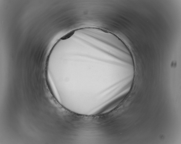 X0000113201104200910011250