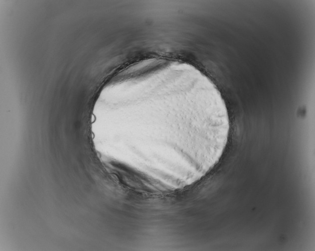 X0000113201105200910011249