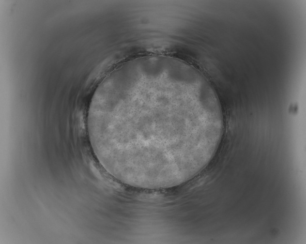 X0000113201106200910011249