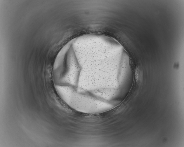 X0000113201107200910011249