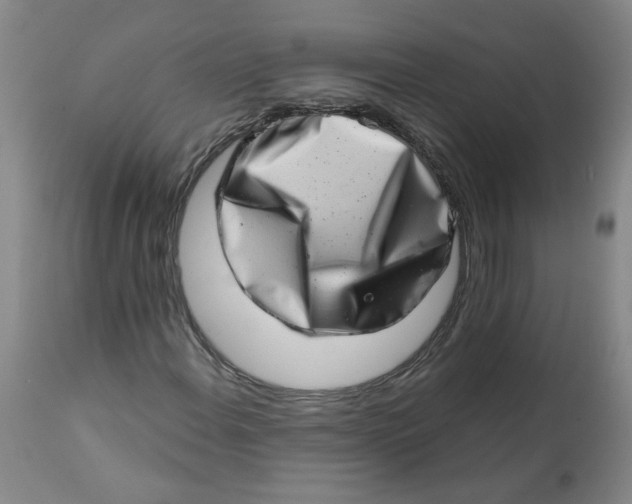 X0000113201108200910011249