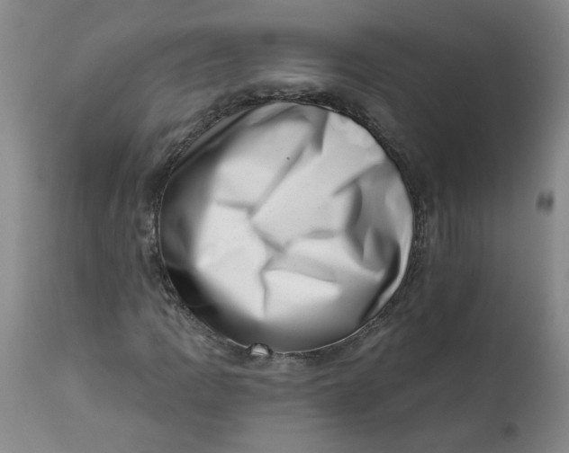 X0000113201109200910011249