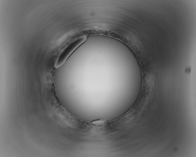 X0000113201110200910011249