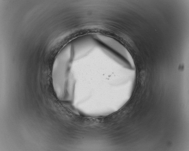 X0000113201111200910011249