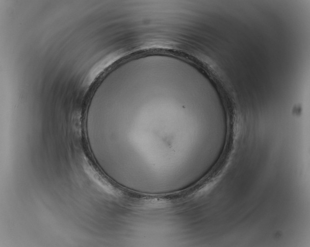 X0000113201113200910011249