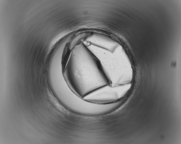 X0000113201114200910011249