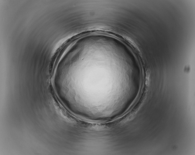 X0000113201117200910011249