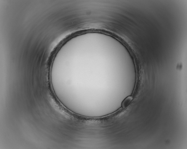 X0000113201118200910011249