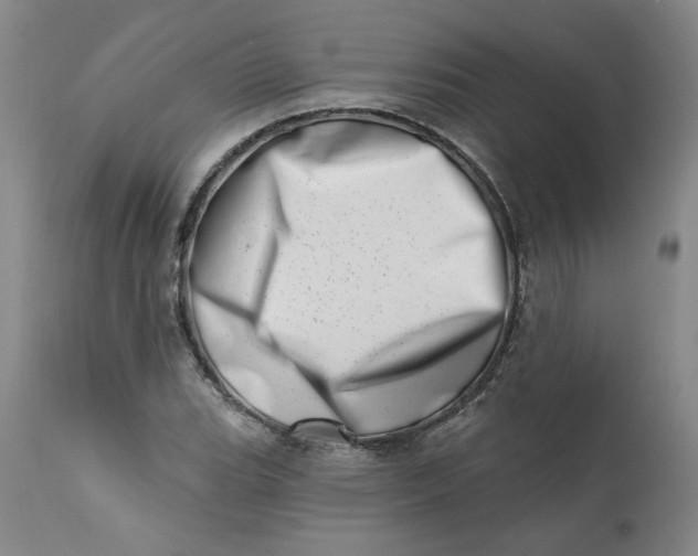 X0000113201119200910011249