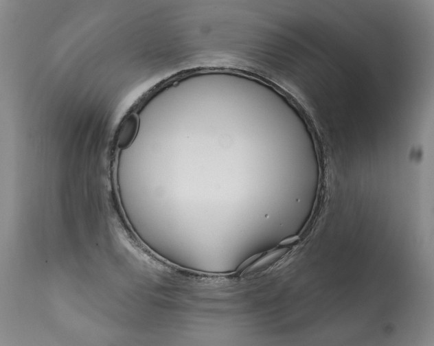 X0000113201120200910011250