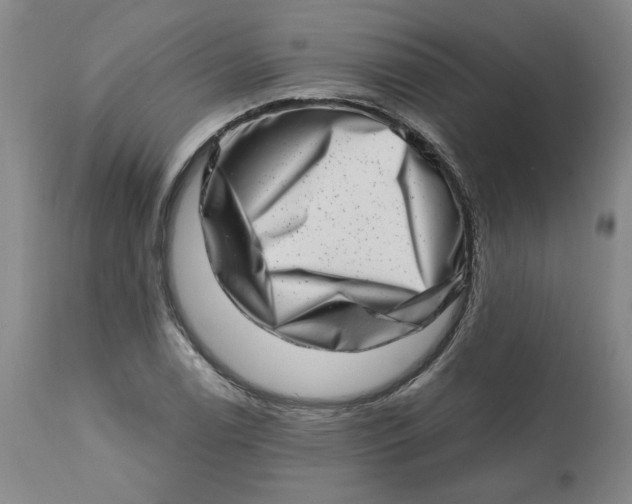 X0000113201122200910011250