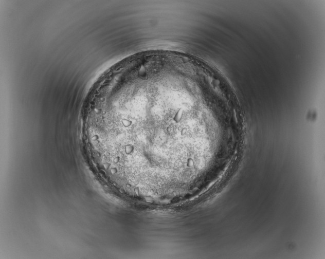 X0000113201125200910011250