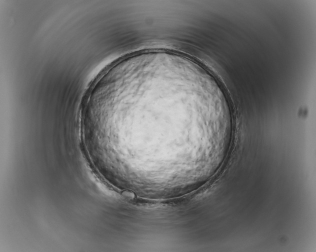 X0000113201127200910011250