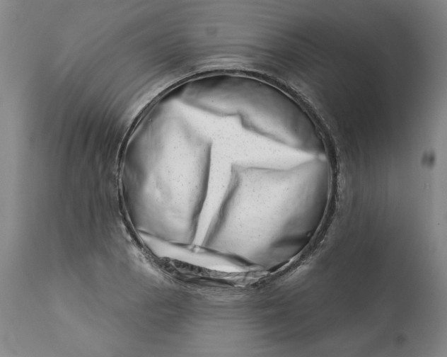 X0000113201129200910011250