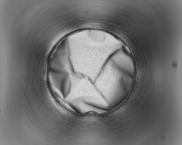 X0000113201131200910011250