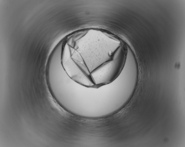 X0000113201132200910011250