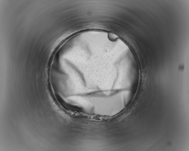 X0000113201133200910011250