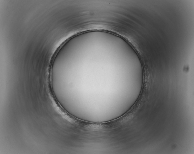 X0000113201134200910011250