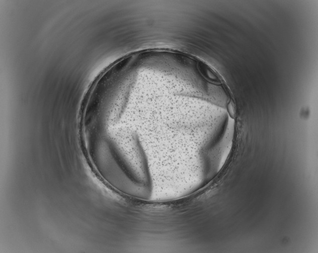 X0000113201135200910011250