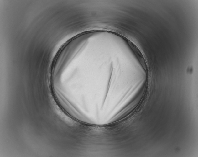 X0000113201136200910011250