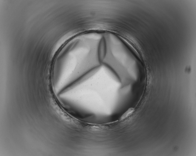 X0000113201138200910011250