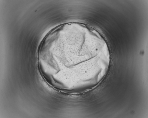 X0000113201140200910011250