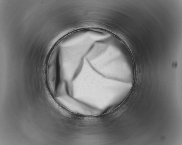 X0000113201142200910011250