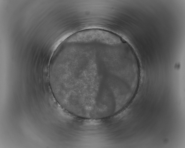 X0000113201145200910011250