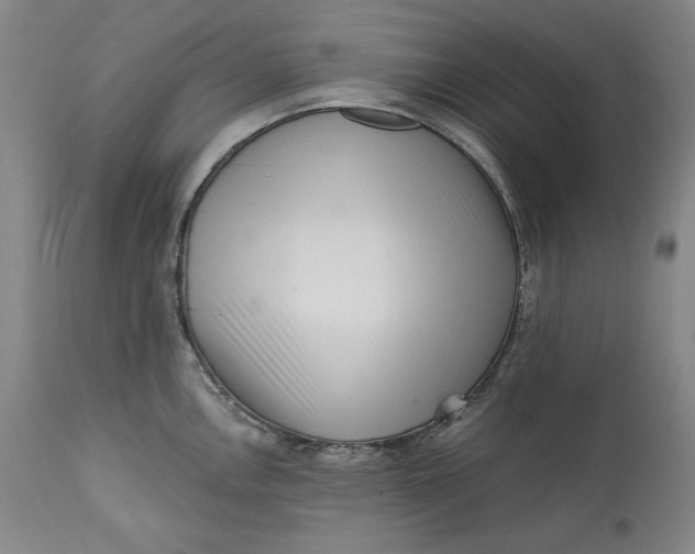 X0000113201146200910011250