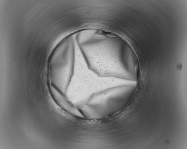 X0000113201147200910011250