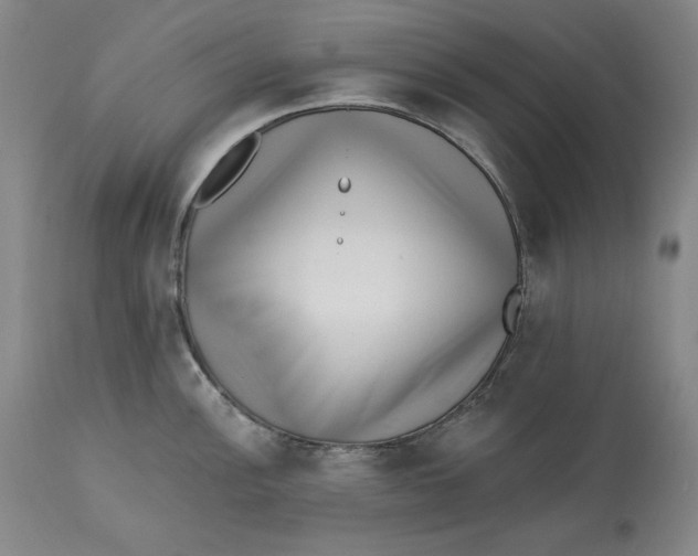 X0000113201148200910011250